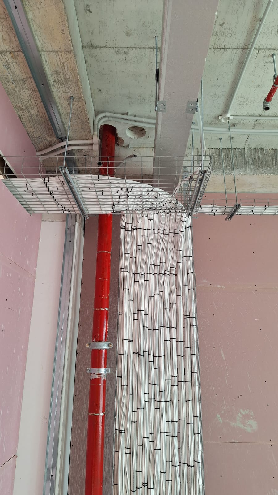 pic 6